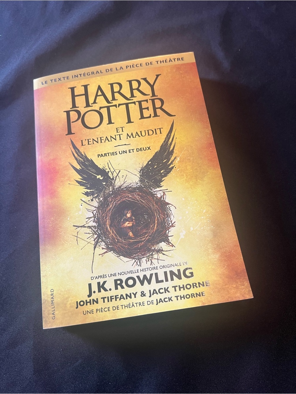 Harry Potter et l'Enfant Maudit Parties 1 et 2 French Edition Script J.K Rowling